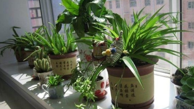 室內(nèi)除甲醛的六大方法介紹！