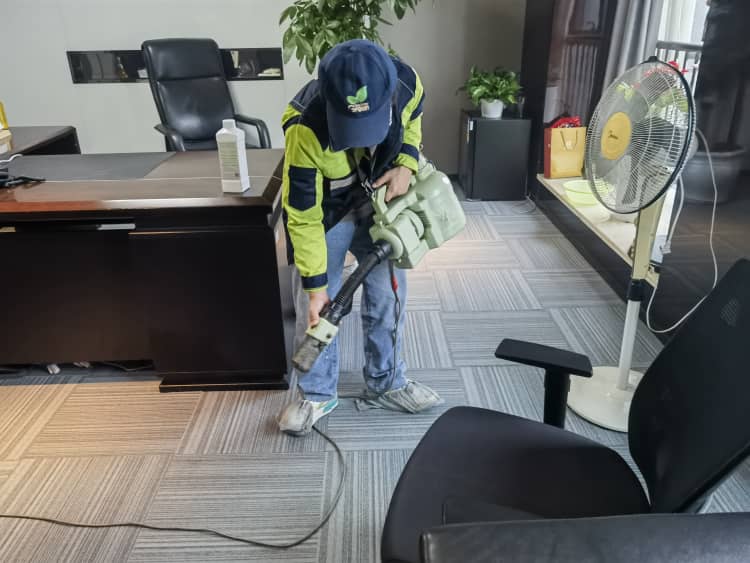 武漢除甲醛：4種常見招兒靠譜嗎？