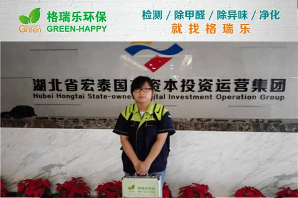 宏泰國(guó)資辦公樓甲醛治理